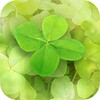 weyvv国产的suv视频正式版